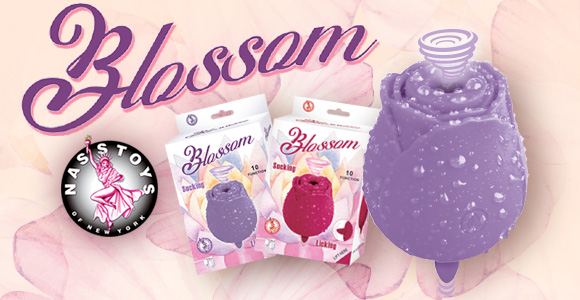 blossom-rose-banner